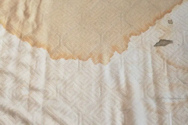 Will Bleach Get Blood Out of Mattress? (REVEALED)