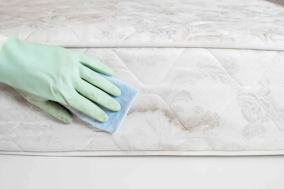 remove mold air mattress