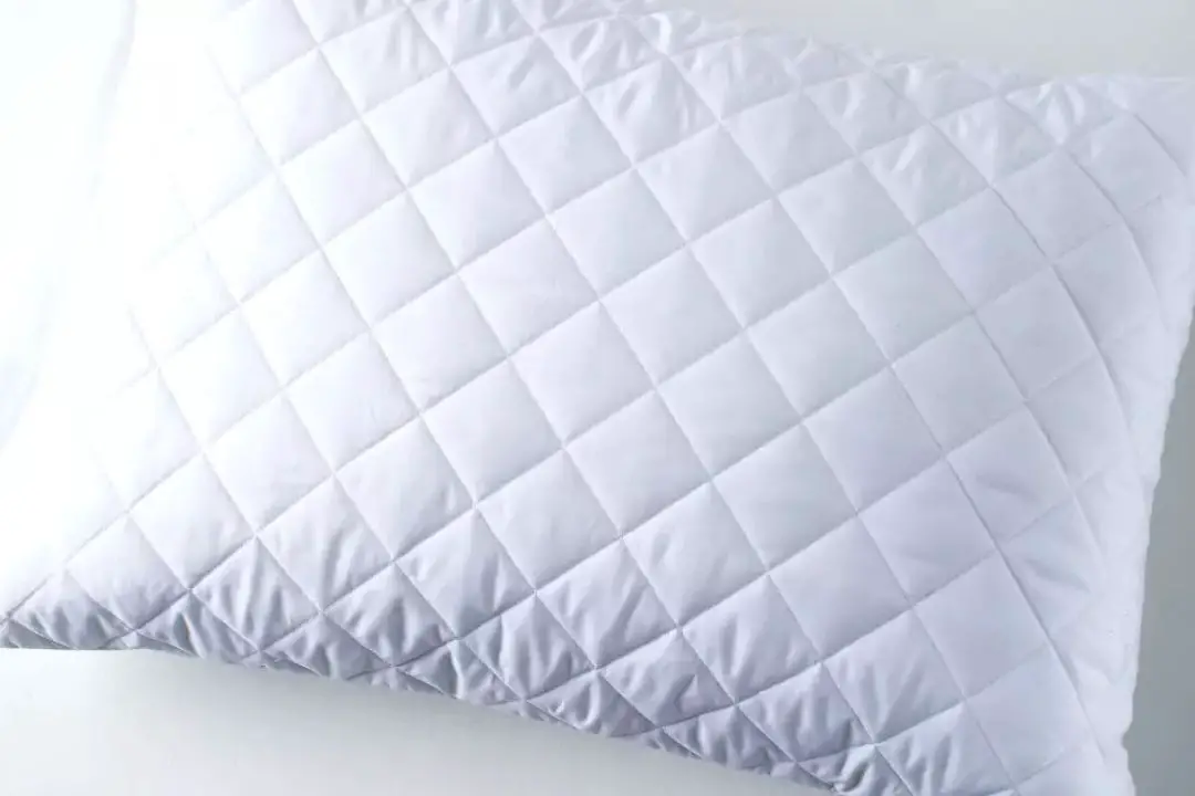 Pillow Smells Like Fish: