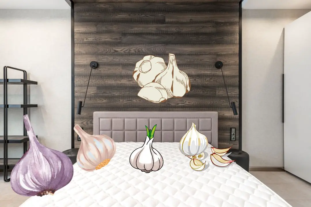 Why Does My Mattress Smell Like Garlic?